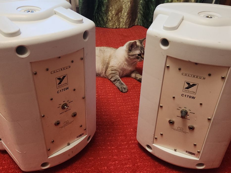 Set boxe profesionale YorkVille C170