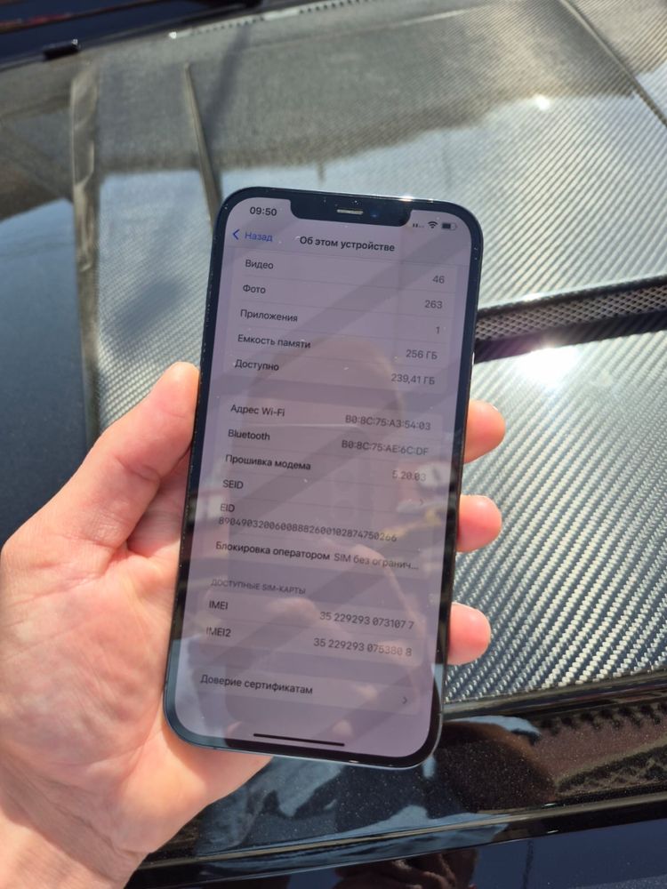 iPhone 12 Pro Max 256
