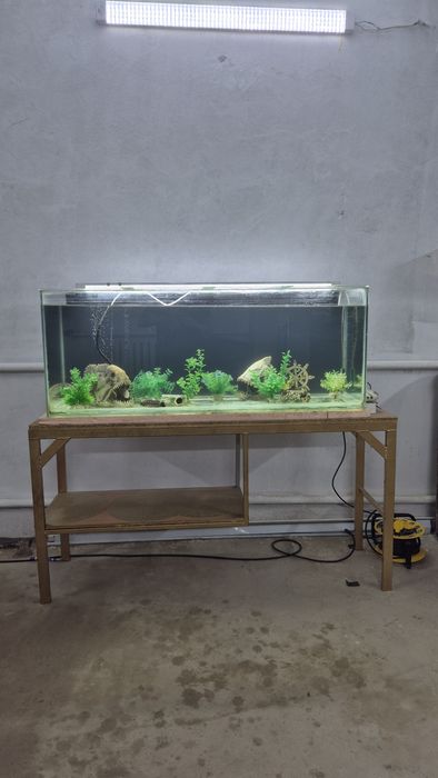 Аквариум 260 литр