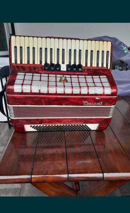 Acordeon Parrot 120