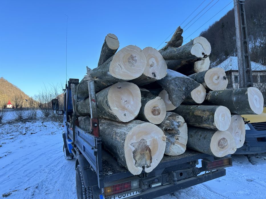 Lemn de foc  cu card de energie