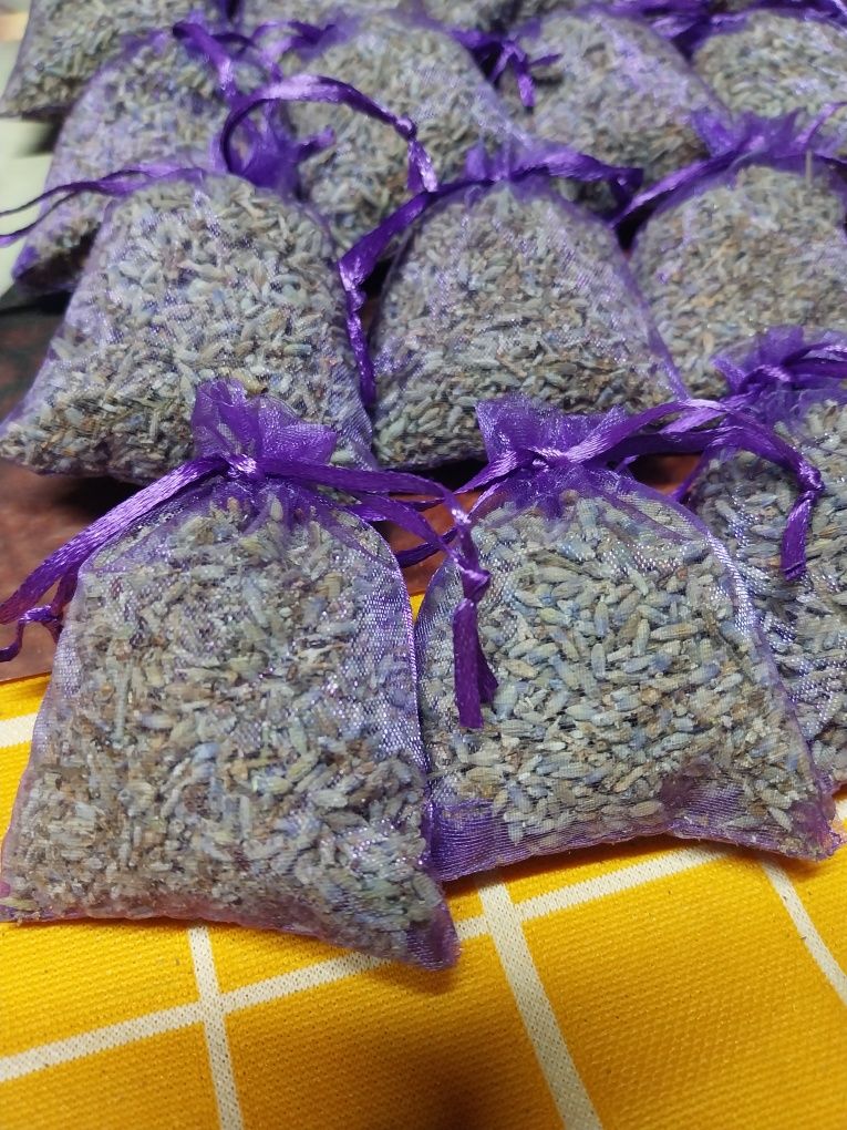 Saculeti lavanda