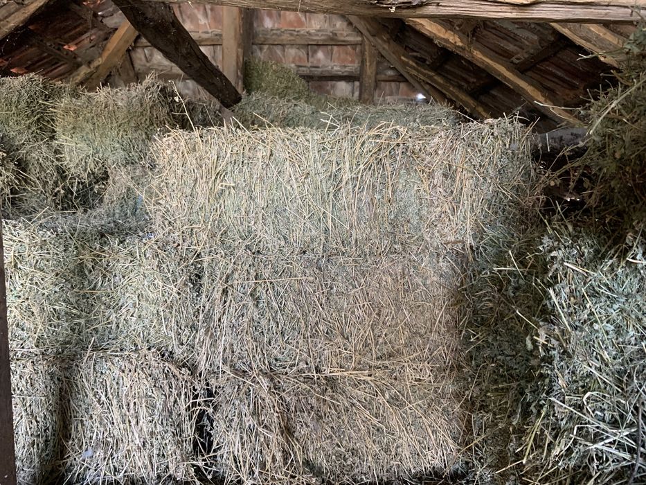 Baloți lucernă și ovăz