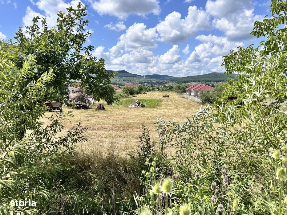 Teren intravilan 1,2h  Valea Ghinzi 1,5km distanta de Teraplast Arena