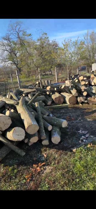 Lemne de foc fag si carpen