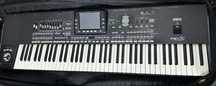 Korg pa3x pro 76 ( lung )
