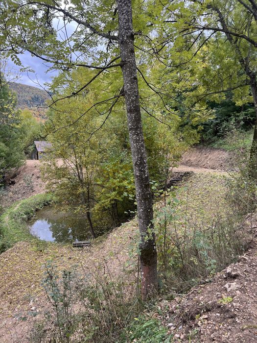 Teren de vanzare-Muntele Rece