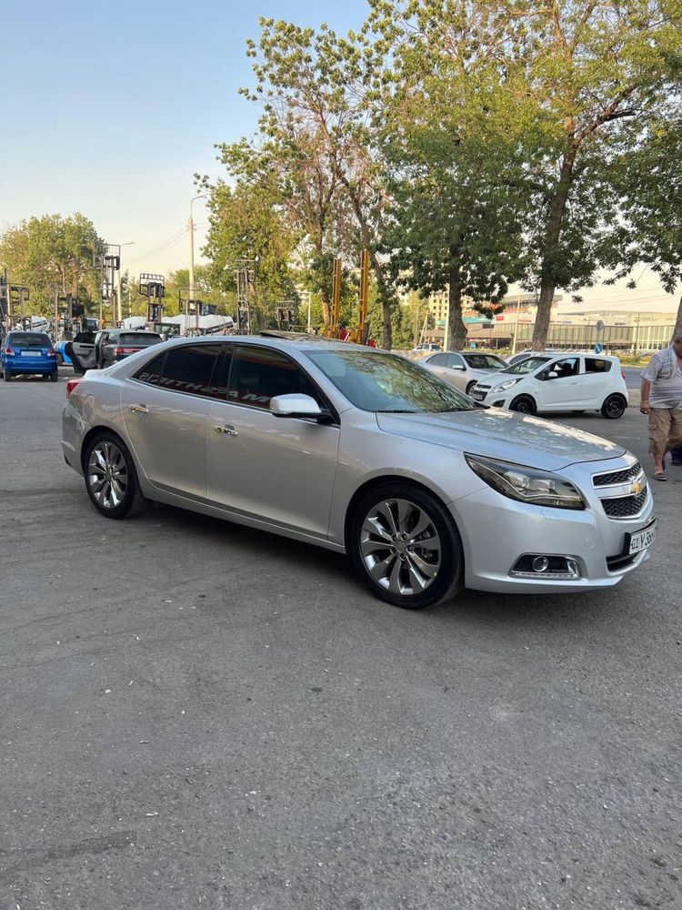 Malibu 1  2014