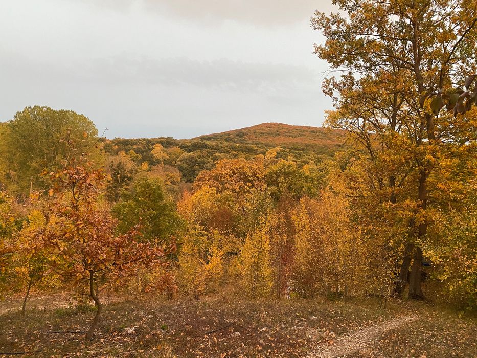 Продава  5 декара село Долище
