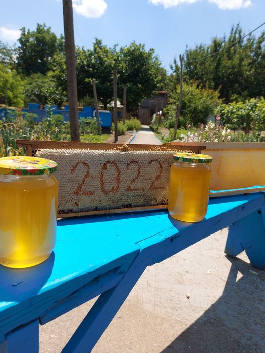 Пчелен мед реколта 2022