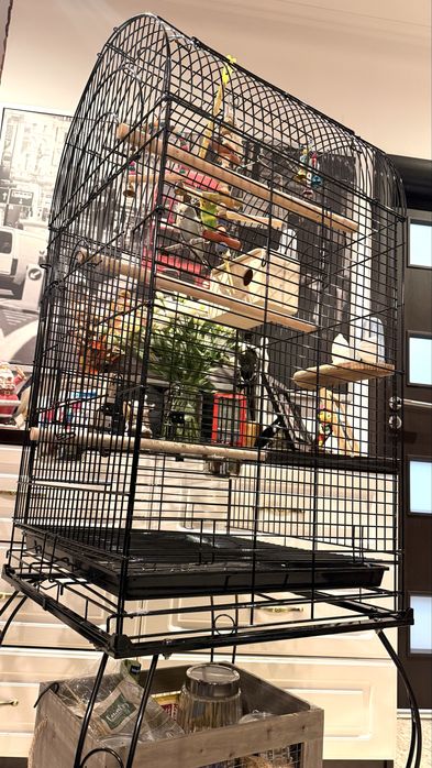 PawHut Colivie pentru pasari si canari, voliera pentru papagali
