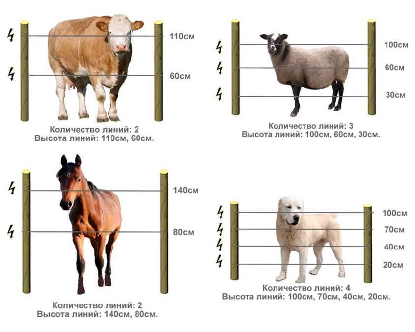 Электроизгородь (электропастух) для всех видов животных