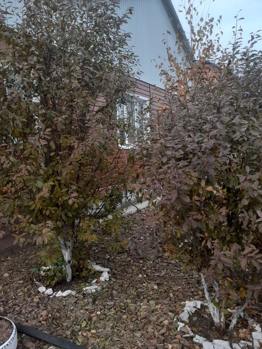 Продам дом мкр.Кулагер