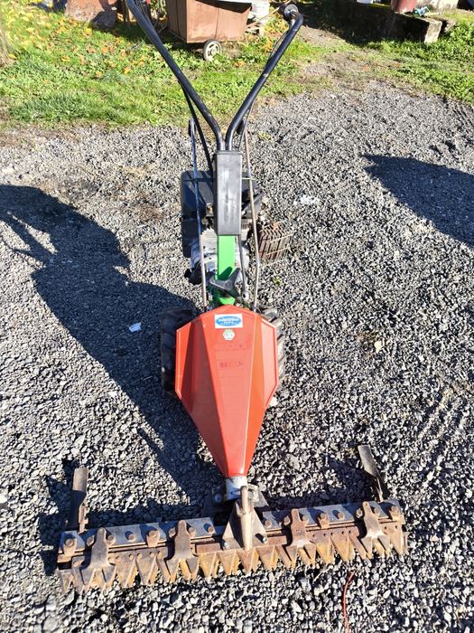 Cositoare Casorzo Italia