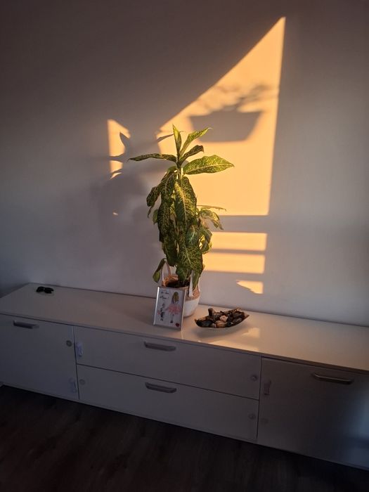 Comoda living tv