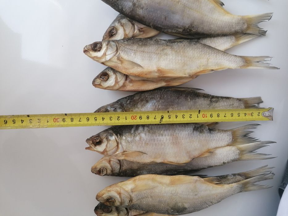 Продам вияленную рибец