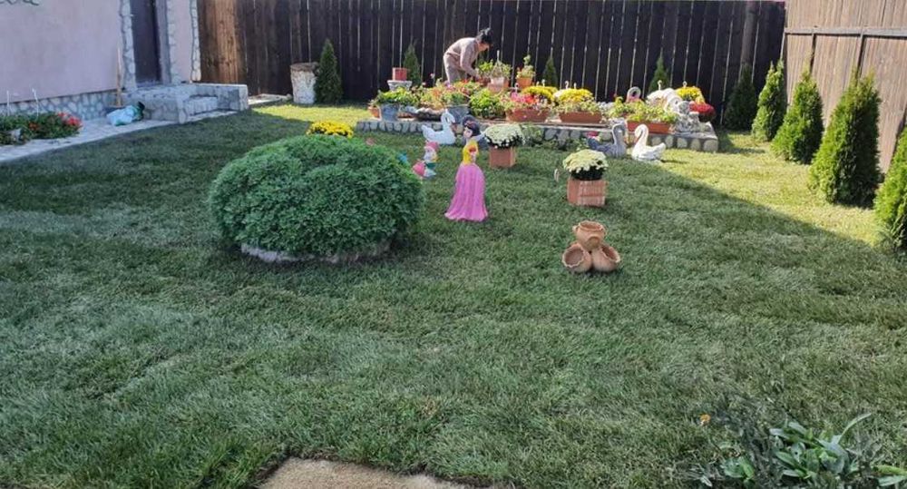 Gazon Rulou Sisteme de Irigare