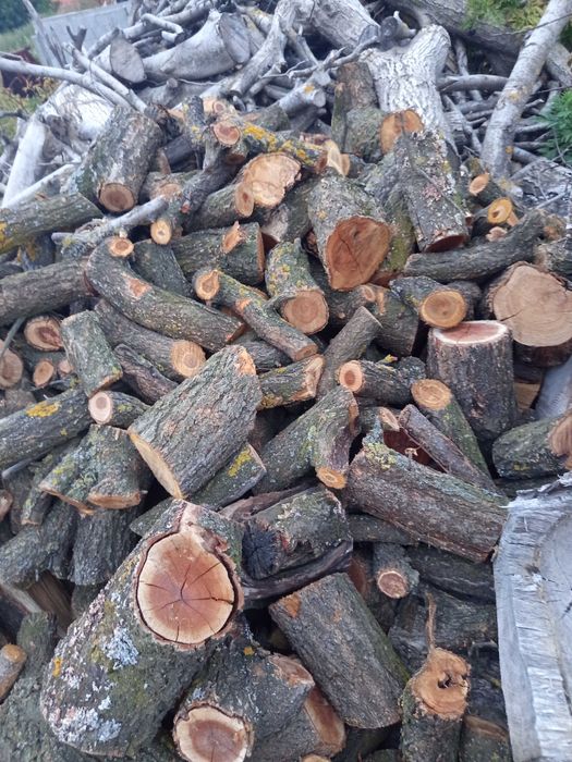 Продавам Дърва за огрев