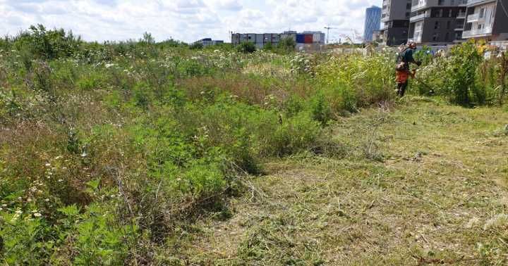 Transport/Debarasari Moloz/Moluz,Marfa, Curatenie santier, Mutari