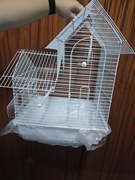 Colivie păsări papagali și canari