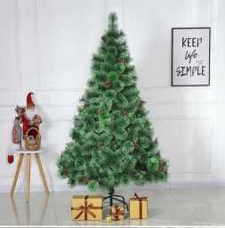 Елхи От нашия Черен Ноември