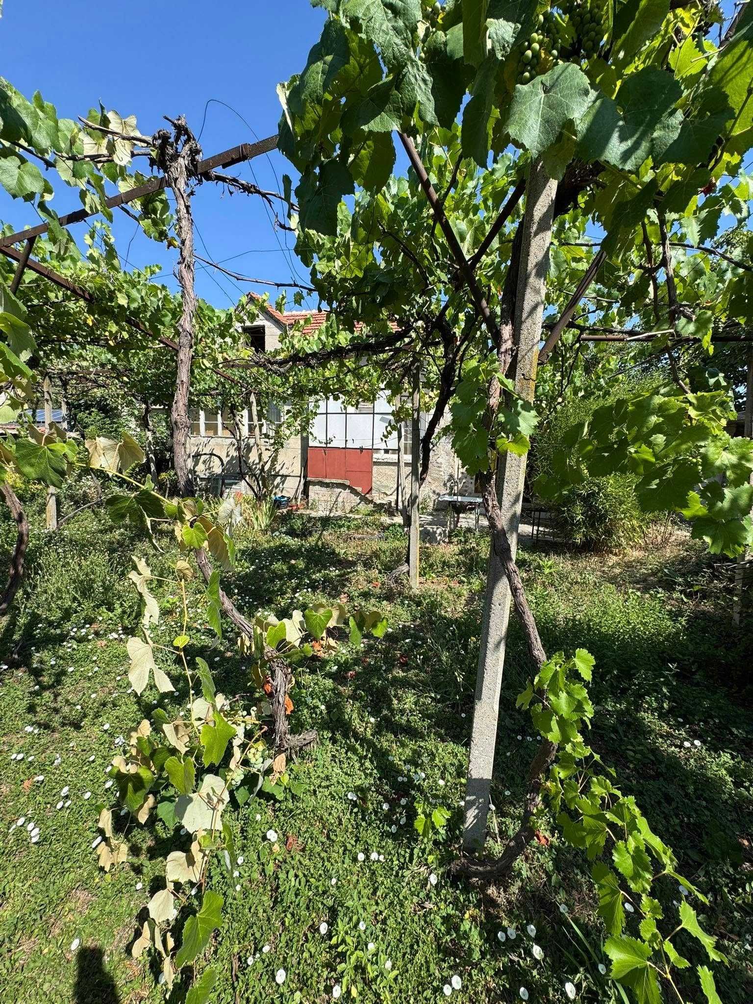 Продава се къща старо строителство в центъра на с. Черганово!