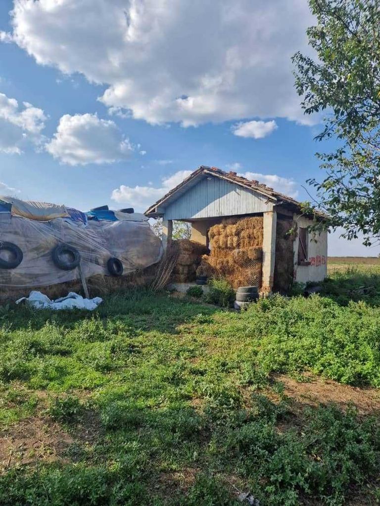 Продава се Парцел в с. Полковник Минково, Област Добрич - 1500 кв.м за 7 €/кв.м - Снимка #3