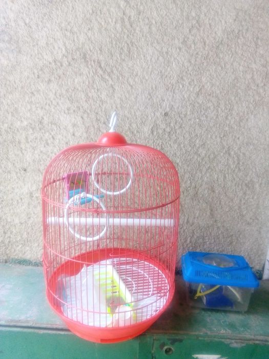 Colivie pasari cu accesorii