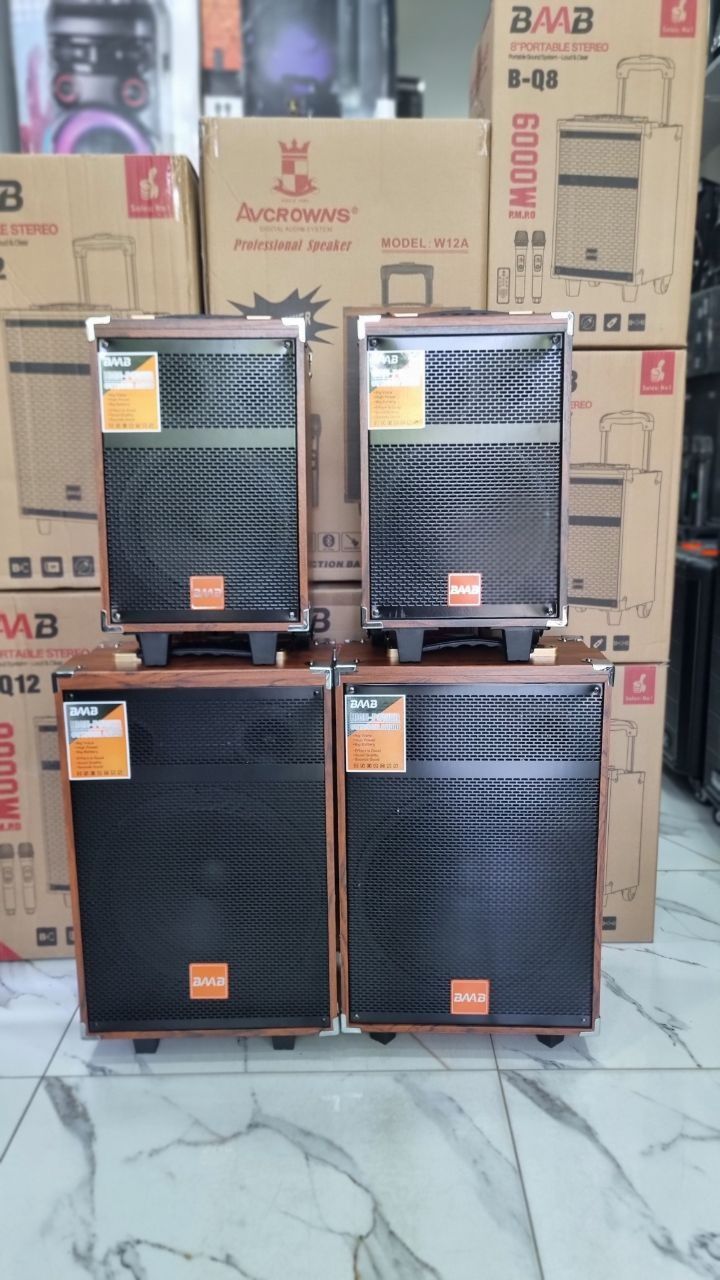 Колонки  BAAB Q12 60 sm 2 микрафонлисимодел мебелни корпус с бас с