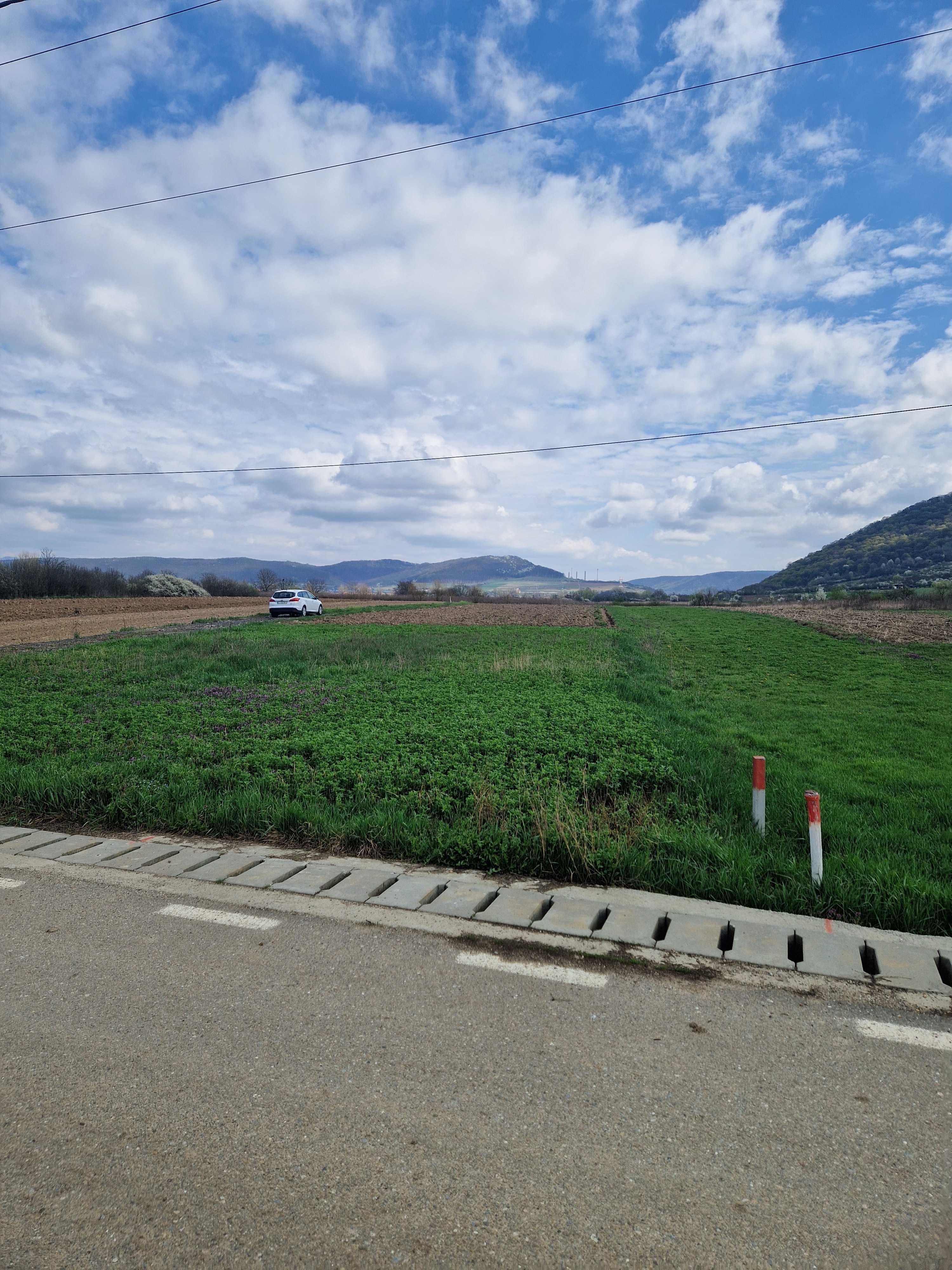 Teren de vanzare Lesnic Hunedoara