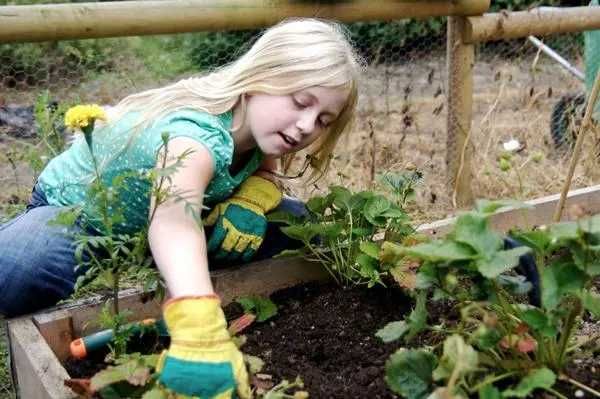 Gradina Urbana in Bucuresti, sect 3. Cultivi ce vrei TU. Bio, Eco