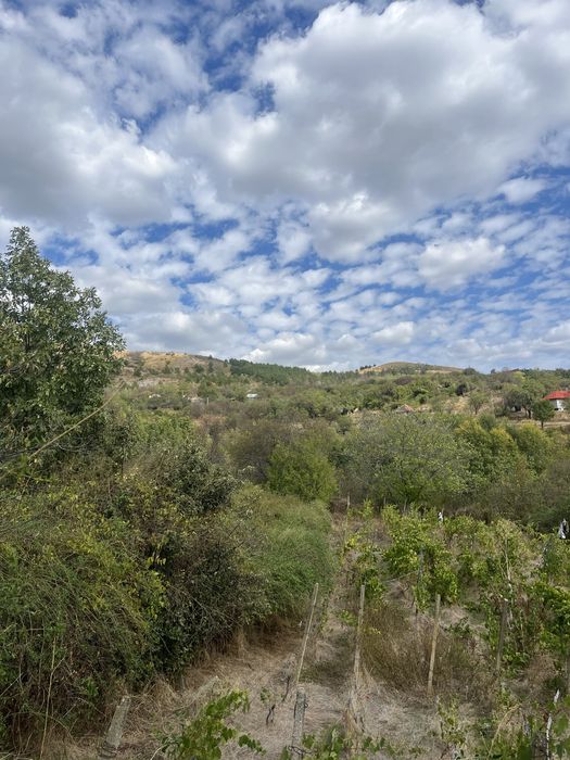 Teren intravilan 1.100 m² – Tohani, Prahova | Lângă Autostrada A7