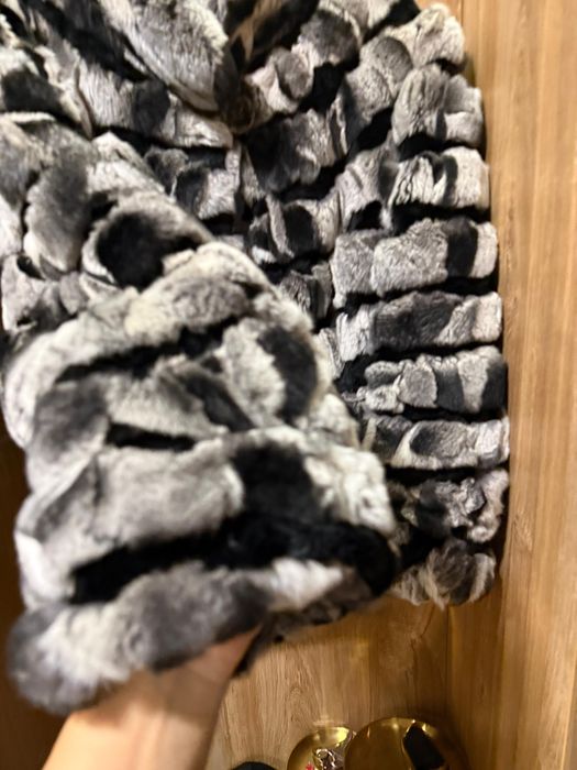 Haina chinchilla gri