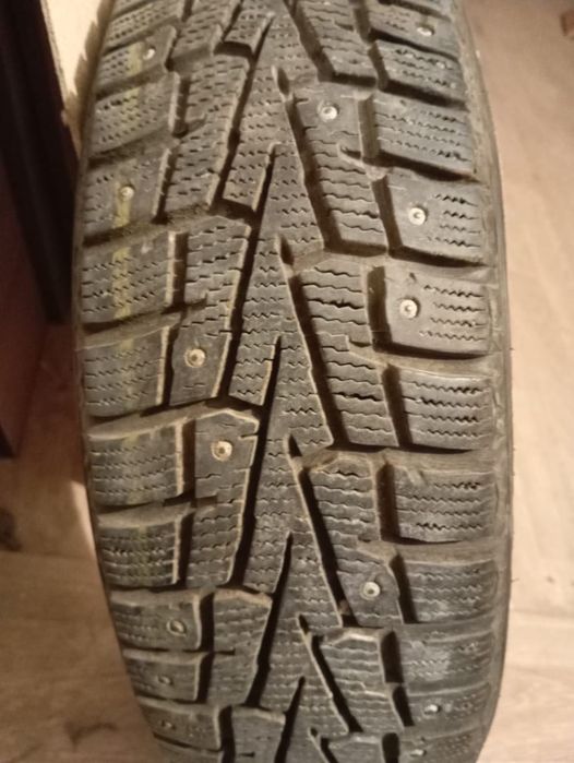продам   две шины   Nexen( Made in  Korea )