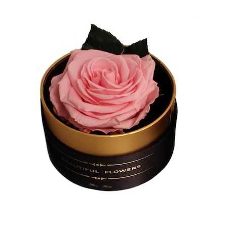 Trandafir criogenat rosu XL Gardinea Domain, cutie negru, satin