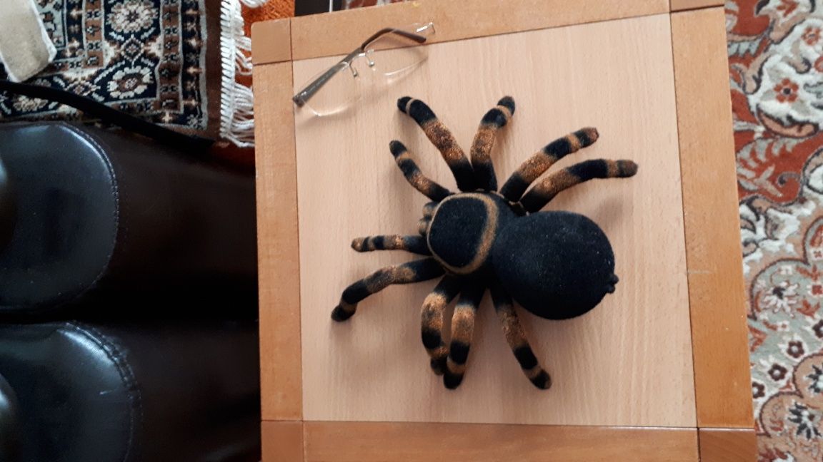 tarantula cu telecomanda