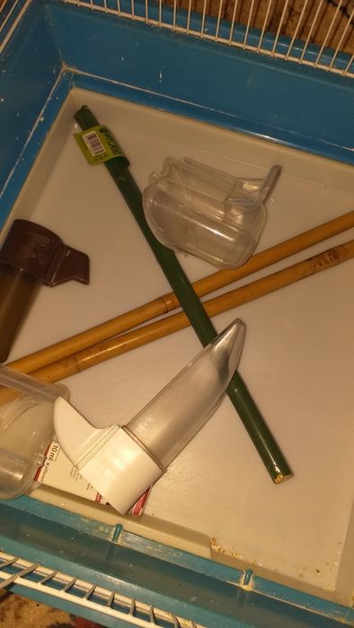 Cușca  peruș 100 lei