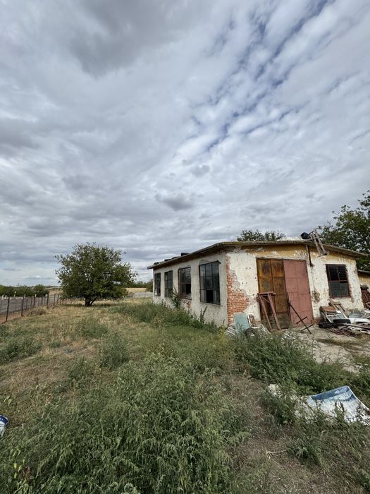 Teren intravilan 1 hectar Calafat