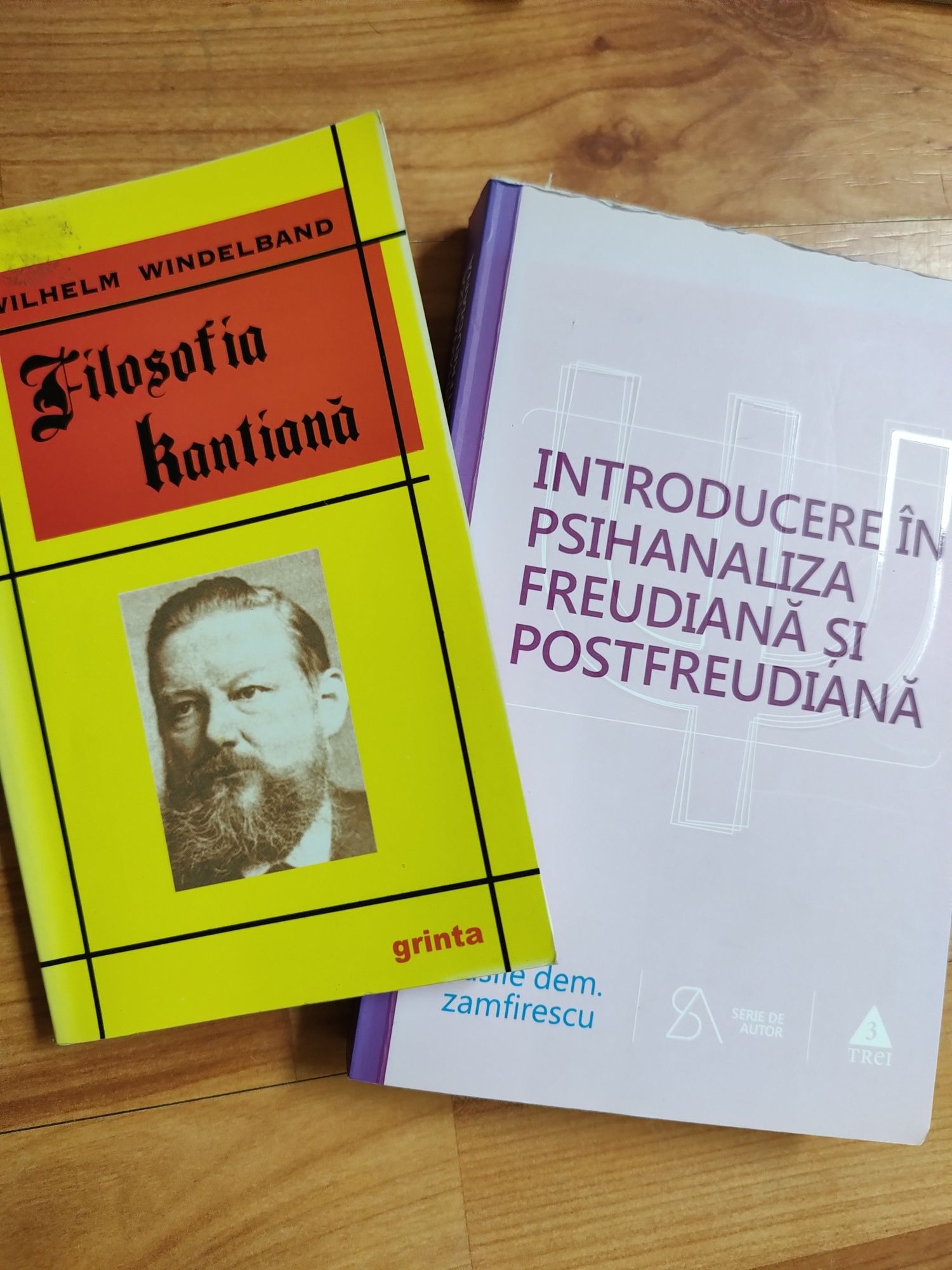 ,,Introducere în Psihanaliza Freudiană..."+Filosofia Kantiană