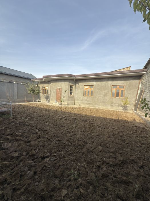 Назарбек текистилда ховли сотилади зудлик билан