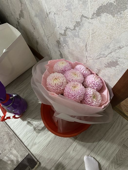 Екеуы бірге 8мын тенге шымкенттттттттттттттттттттттттттттттттттттттттт