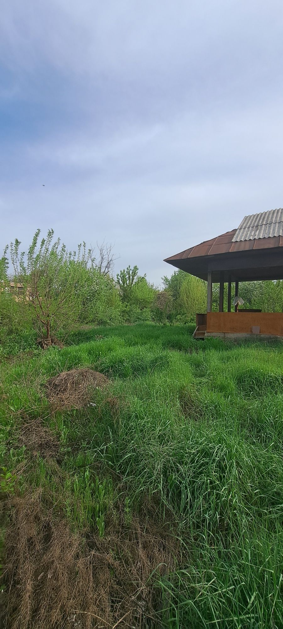 Дача Дёшево 8 соток не далеко от Ташкента Янгибазар Навбахор дачи