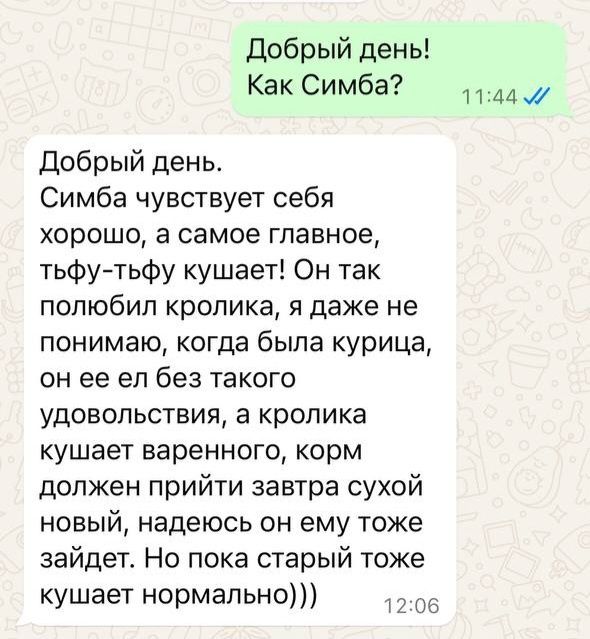 Ветеринарный врач Ветеринар на дом Выезд вызов усыпление кремация