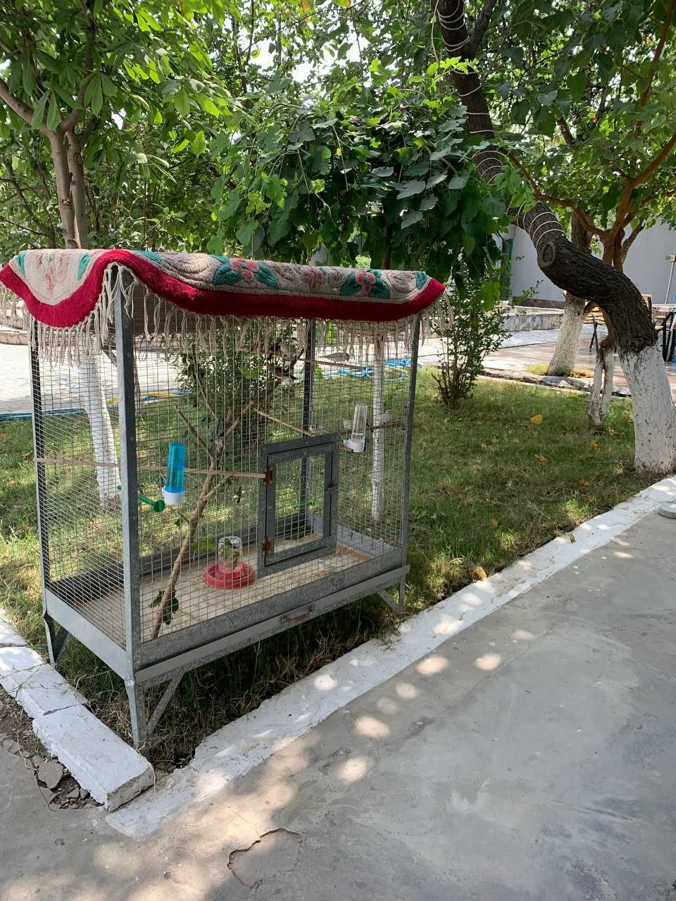 Dacha orom chirchiq arenda oila ulfat 100$
