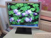 Монитор LG FLATRON L1919S