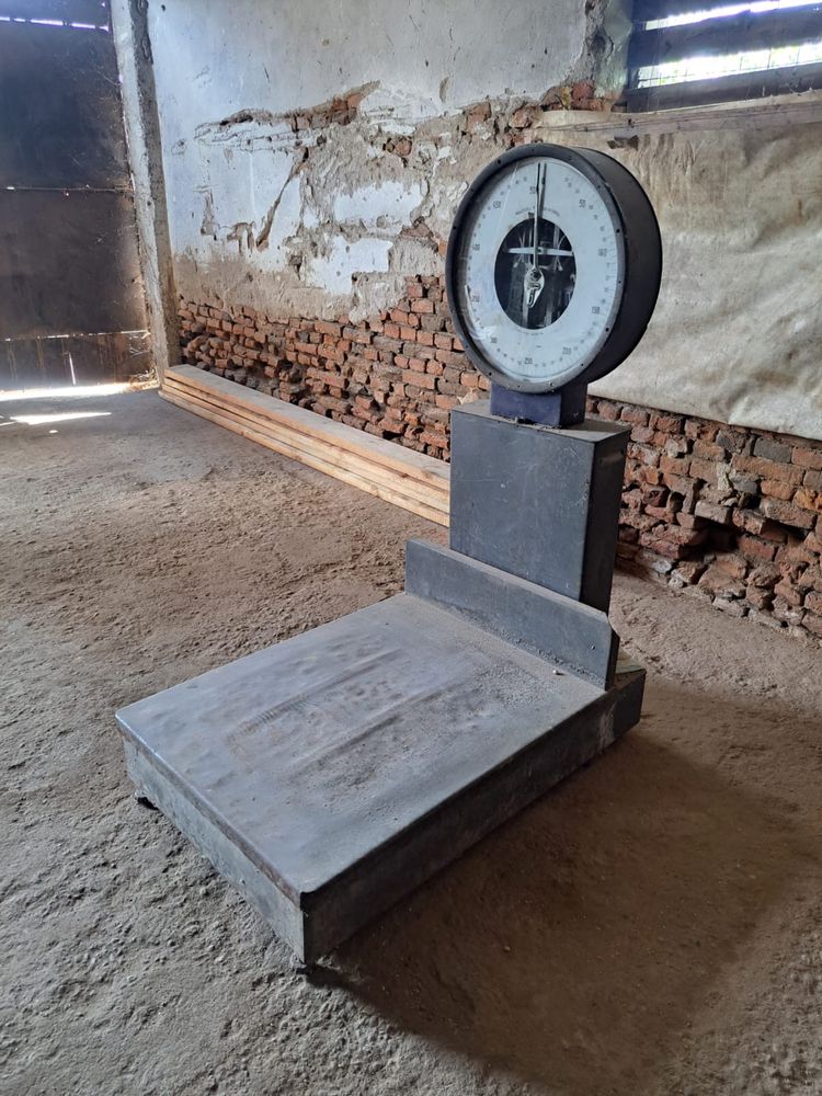 Vand cantar 500 kg