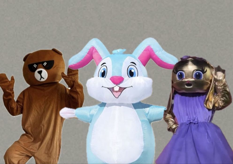 Поздравление,холодный фонтан/фейерверк,прокат костюмов