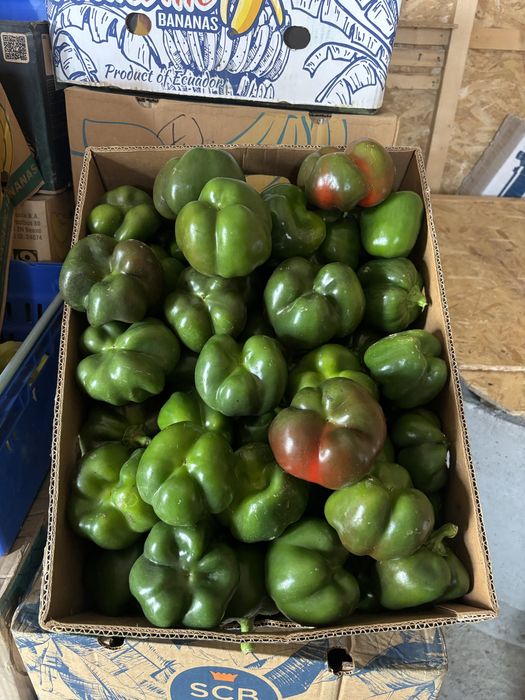 Ardei kapia si gogosar