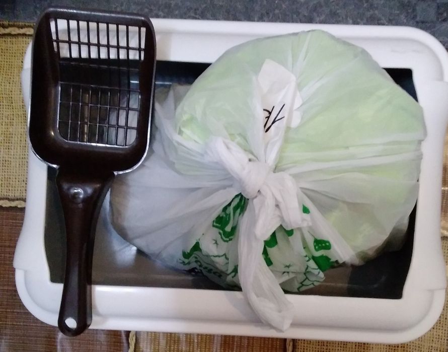 Отдам лоток, лопатку, немного наполнителя.