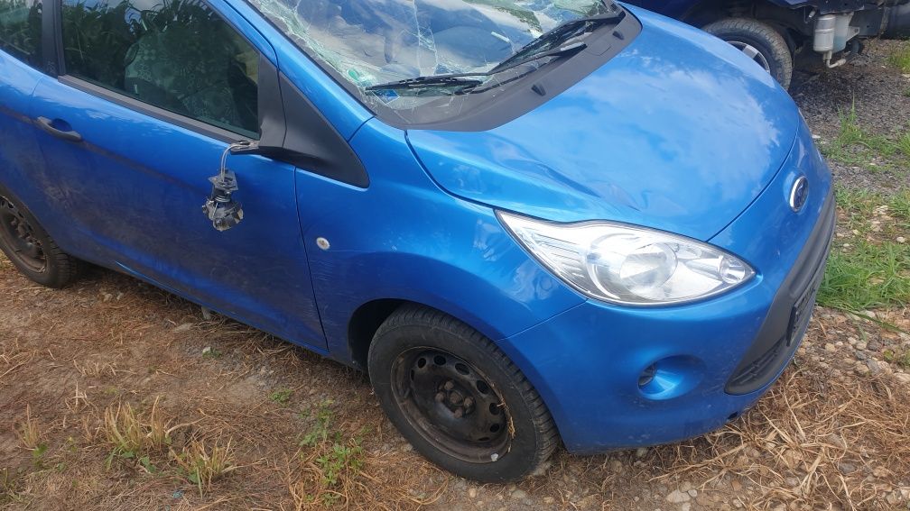 Aripa Ford Ka ,an 2009-2016